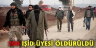 200 IŞİD üyesi öldürüldü