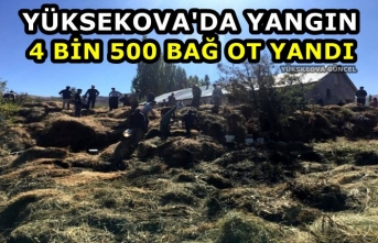Yüksekova'da Yangın: 4 Bin 500 Bağ Ot Yandı