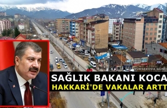 Sağlık Bakanı Koca: Hakkari'de Vakalar Arttı