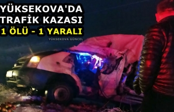 Yüksekova'da Trafik Kazası: 1 Ölü,1 Yaralı