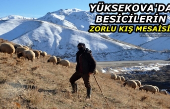 Yüksekova'da besicilerin zorlu kış mesaisi