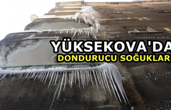 Yüksekova'da Dondurucu Soğuklar