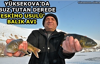 Yüksekova’da Buz Tutan Derede 'Eskimo Usulü' Balık Avı