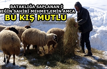 Bataklığa saplanan ineğin sahibi Mehmet Emin Amca...