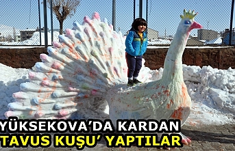 Yüksekova’da kardan ‘Tavus kuşu’ yaptılar