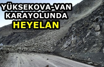 Yüksekova-Van karayolunda heyelan
