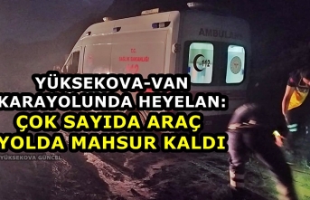 Yüksekova-Van Karayolunda Heyelan: Çok Sayıda Araç Yolda Mahsur Kaldı