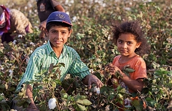 'Çocuk işçi'lerin sayısı 20 yıldır ilk kez arttı