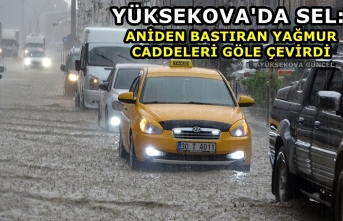 Yüksekova'da Sel: Aniden Bastıran Yağmur Caddeleri Göle Çevirdi