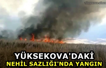 Yüksekova'daki Nehil Sazlığı'nda yangın