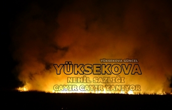 Yüksekova’da Nehil Sazlığındaki yangın akşam...