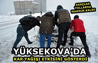 Yüksekova'da Kar Yağışı Etkisini Gösterdi