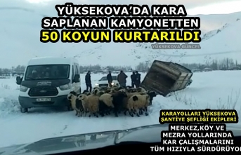 Yüksekova’da kara saplanan kamyonetten 50 koyun...