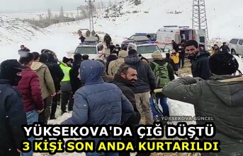 Yüksekova'da Çığ Düştü, 3 Kişi Son Anda Kurtarıldı
