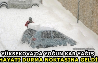 Yüksekova'da Yoğun Kar Yağışı Hayatı Durma Noktasına geldi
