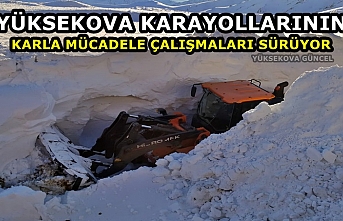 Yüksekova Karayollarının karla mücadele çalışmaları...