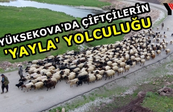 Yüksekova'da Çiftçilerin 'Yayla'...