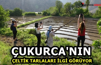Çukurca'daki Çeltik Tarlalarına Fotoğrafçılardan...