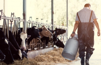 Et ve süt üreticilerinden dikkat çeken uyarı:...