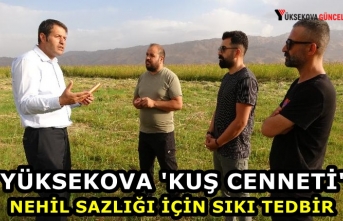 Yüksekova 'Kuş cenneti' Nehil Sazlığı...