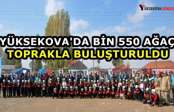 Yüksekova'da bin 550 Ağaç Toprakla Buluşturuldu