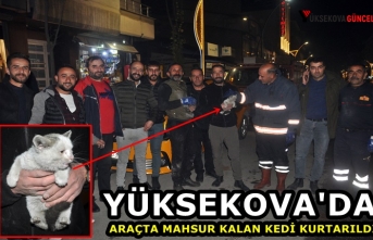 Yüksekova'da Araçta Mahsur Kalan Kedi Kurtarıldı