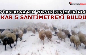 Yüksekova’nın Yüksek Kesimlerinde Kar 5 Santimetreyi Buldu