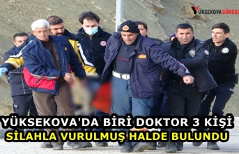 Yüksekova'da biri doktor 3 kişi silahla vurulmuş halde bulundu