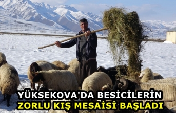 Yüksekova'da Besicilerin Zorlu Kış Mesaisi...