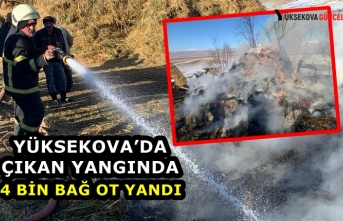 Yüksekova'da Çıkan Yangında 4 Bin Bağ Ot Yandı