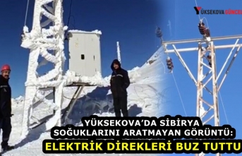 Yüksekova'da Sibirya soğuklarını aratmayan görüntü: Elektrik direkleri buz tuttu