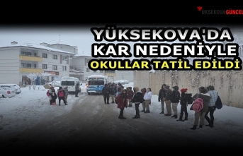 Yüksekova'da Kar Nedeniyle Okullar Tatil Edildi