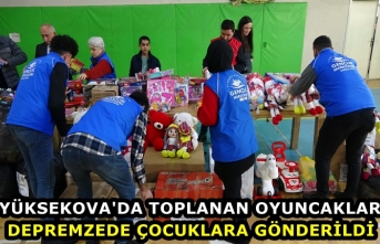 Yüksekova'da toplanan oyuncaklar depremzede...