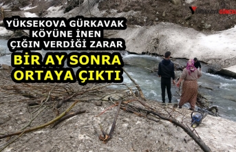 Yüksekova Gürkavak köyüne İnen çığın verdiği zarar bir ay sonra ortaya çıktı