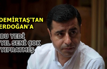 Demirtaş'tan Erdoğan'a: Bu yedi yıl seni...