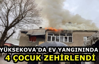 Yüksekova'da ev yangınında 4 çocuk zehirlendi