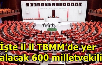 İşte il il TBMM’de yer alacak 600 milletvekili