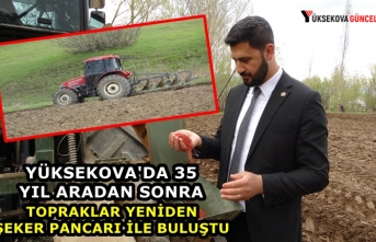 Yüksekova'da 35 Yıl Aradan Sonra Topraklar Yeniden Şeker Pancarı İle Buluştu
