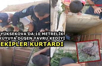 Yüksekova'da 10 metrelik kuyuya düşen yavru kediyi ekipler kurtardı