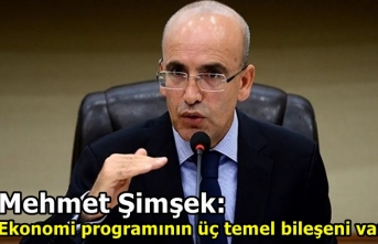 Mehmet Şimşek: Ekonomi programının üç temel bileşeni var