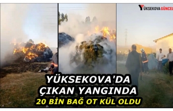 Yüksekova'da çıkan yangında 20 bin bağ ot...