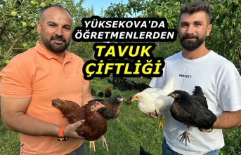 Yüksekova'da Öğretmenlerden Tavuk Çiftliği
