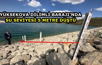 Yüksekova Dilimli Barajı'nda Su Seviyesi 5 Metre Düştü