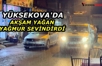 Yüksekova'da Akşam Yağan Yağmur Sevindirdi