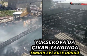 Yüksekova'da çıkan yangında tandır evi küle...