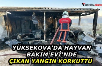 Yüksekova'da Hayvan Bakım Evi'nde Çıkan Yangın Korkuttu