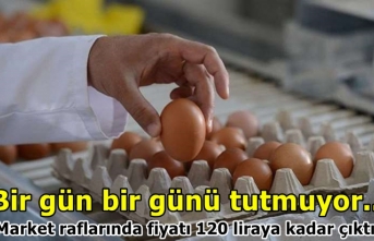 Bir gün bir günü tutmuyor...