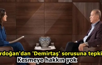 Erdoğan'dan 'Demirtaş' sorusuna tepki: Kesmeye hakkın yok