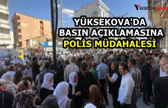 Yüksekova'da basın açıklamasına polis müdahalesi