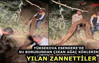 Yüksekova Esendere'de Su Borusundan Çıkan Ağaç Köklerini Yılan Zannettiler